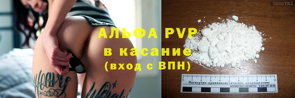 СК Чита