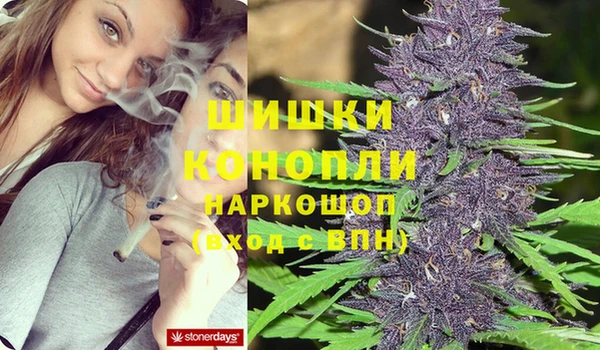 СК Чита