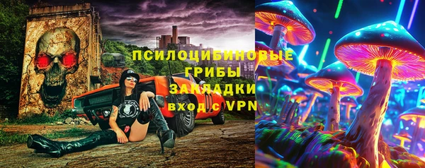 СК Чита