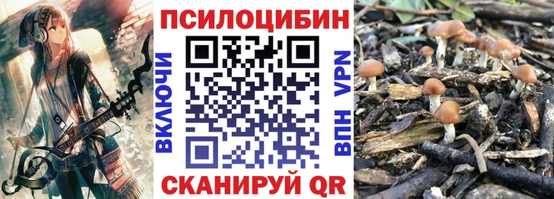 Псилоцибиновые грибы ЛСД  Мурманск 