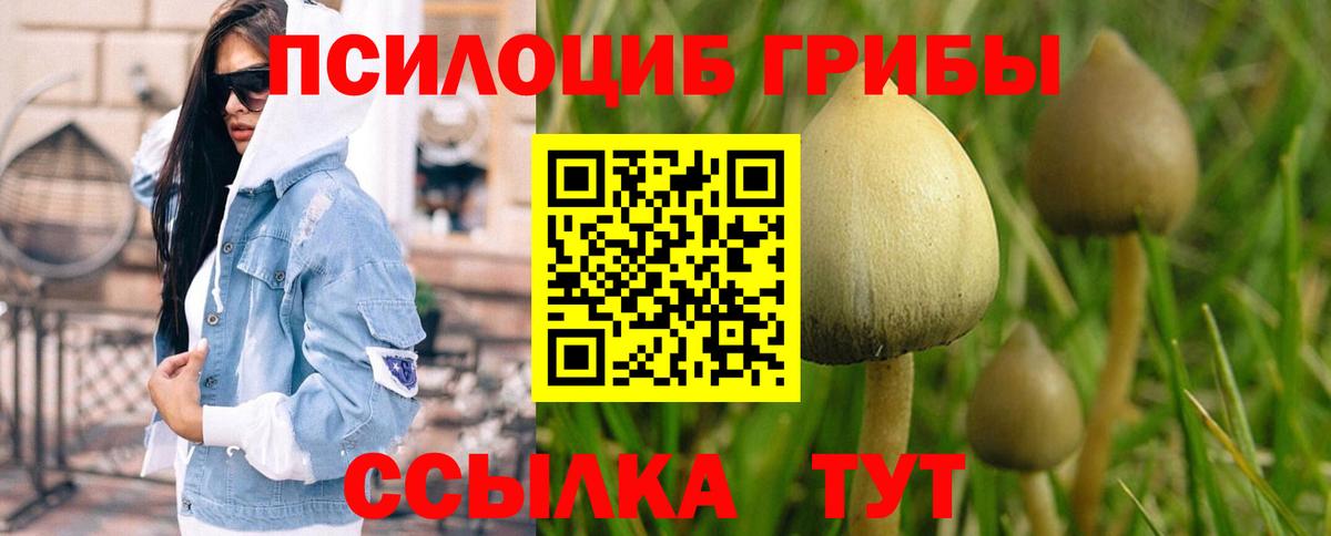 Галлюциногенные грибы MAGIC MUSHROOMS  Вход с VPN  Мурманск 