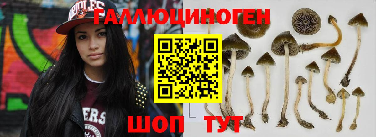 Псилоцибиновые грибы ЛСД Мурманск