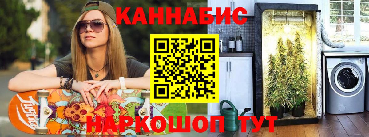 МАРИХУАНА план  Шишки марихуана LSD WEED  Мурманск  Вход с VPN  Конопля AK-47 